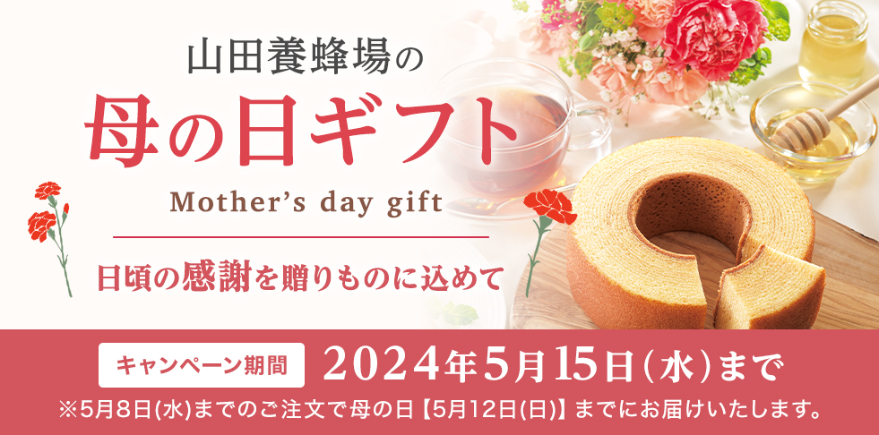 Rc{I ̓Mtg Mother's day gift ̊ӂ𑡂̂ɍ߂ Ly[ 2024N515()܂ 58()܂ł̂ŕ̓y512()z܂łɂ͂܂B