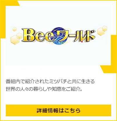 Bee[h